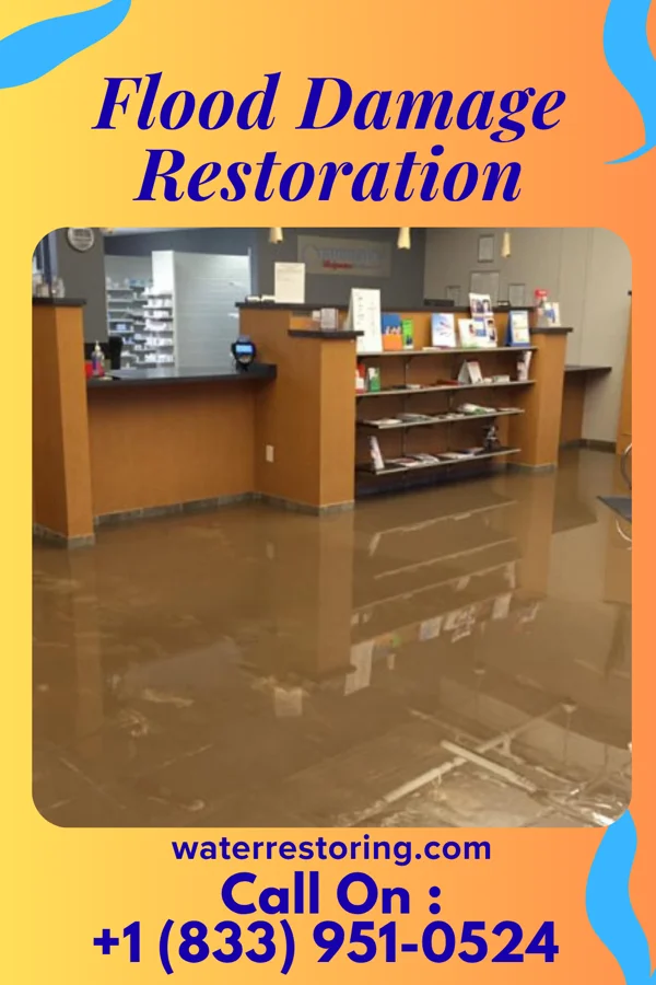 Flood Damage Restoration in Machesney Park, IL
